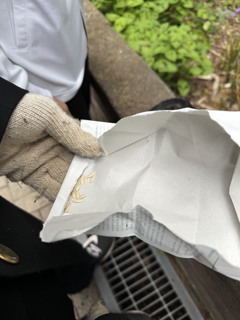 Image - 2026-04-30T105232.987